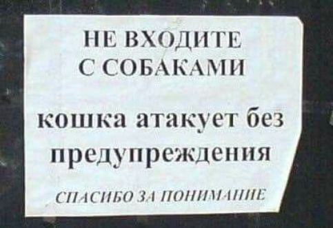 С ВХОДИТЕ СОБАК кошка атакует без п рсл_пр0клсп ия Н11НПП11111171