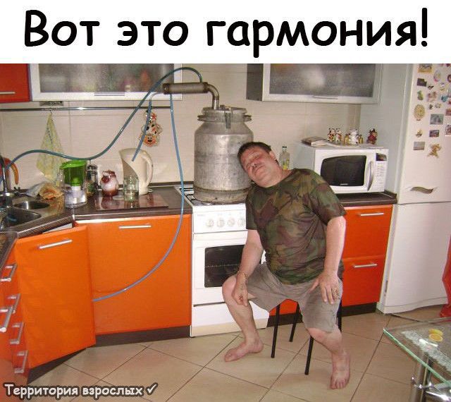 Вот это гармония