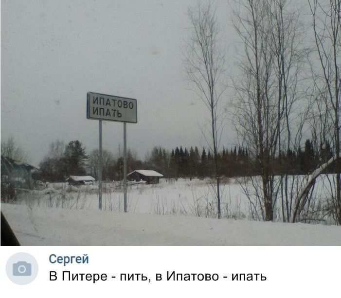 _ Сергей в Питере _ пить в Ипатово ипать