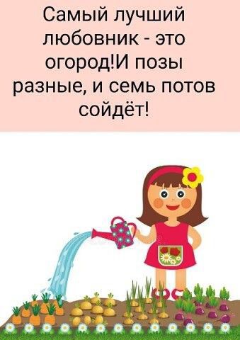 Самый лучший любовник это огородИ позы разные и семь потов сойдёт