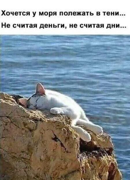 ХОЧЕТСЯ у моря полежать В тени Не считая деньги не считая дии