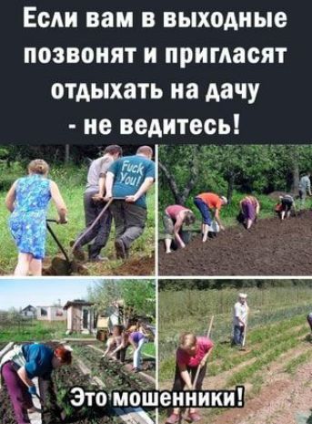 Если вам в выходные позвонят и примасят отдыхать на дачу не ведитесь
