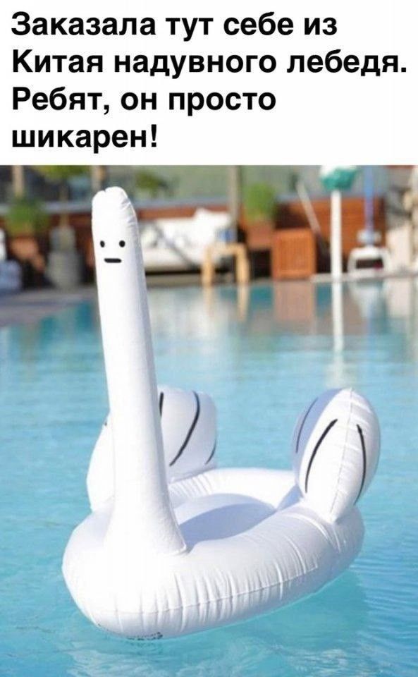 Заказала тут себе из Китая надувного лебедя Ребят он просто шикарен