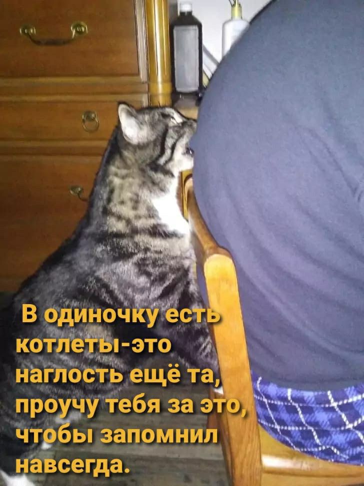 _ __д В одиночкуъст котцёТЪп это проучу тебя за 3 чтрбы запомнил В Г на седа