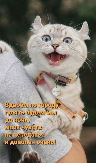 ъ уудд А ш и типы дмг до Зг 19111 и