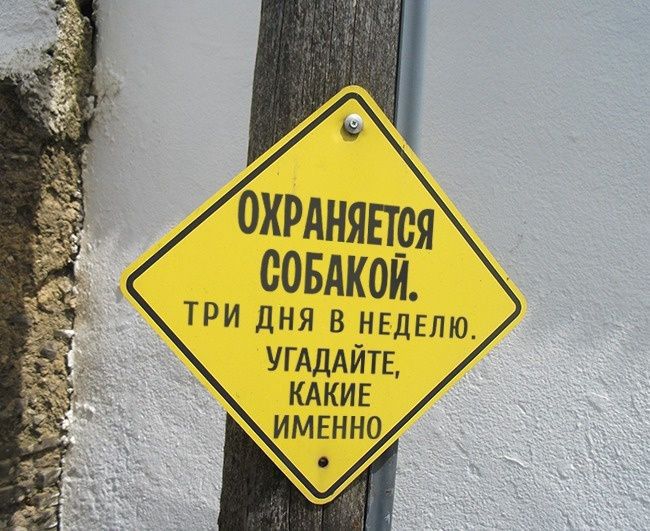 ОХРАНЯЕгря СОБАКОИ ТРИ дня в нкдвлю УГАДАЙТЕ кдкиг