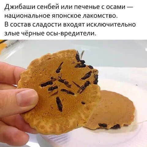 Джибаши сенбей или печенье с осами национальное японское лакомство В состав СЛЕДОСТИ ВХОДЯТ ИСКЛЮЧИТЕЛЬНО ЗЛЫЕ чёрные осы вредители