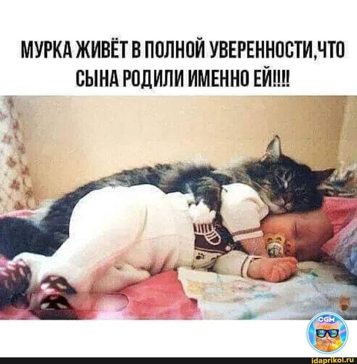МУРКА ЖИВЁТ В ППЛНПЙ УВЕРЕННОВТИНТП СЫНА РПДИЛИ ИМЕНН0 БШ