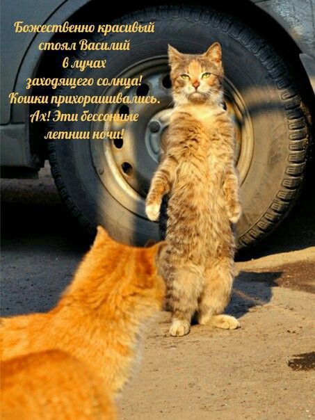 ашдый алом Вашлий а шлях 3ш штамп