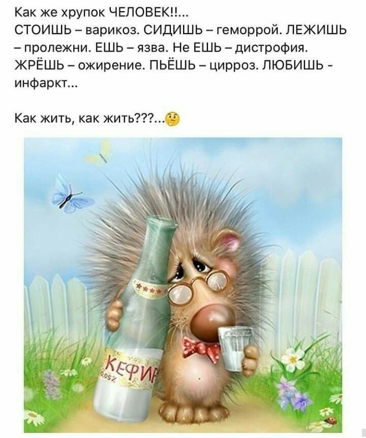 Как же хрупок ЧЕЛОВЕК стоишь варикоз сидишь геморрой пвжишь пролежни ешь язва Не ешь дипрпфия ЖРЁШЬ ожирение ПЬЁШЬ цирроз ЛЮБИШЬ инфаркт Как жит как жить