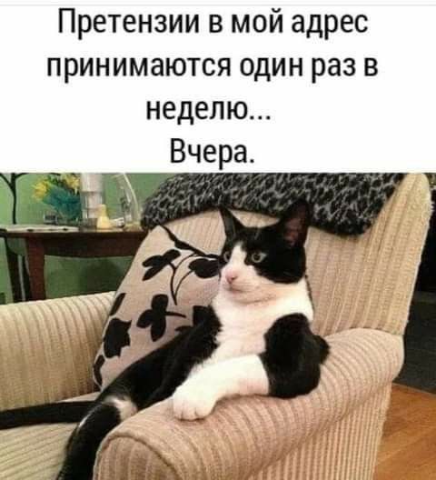 Претензии в мой адрес принимаются один раз в неделю Вчера
