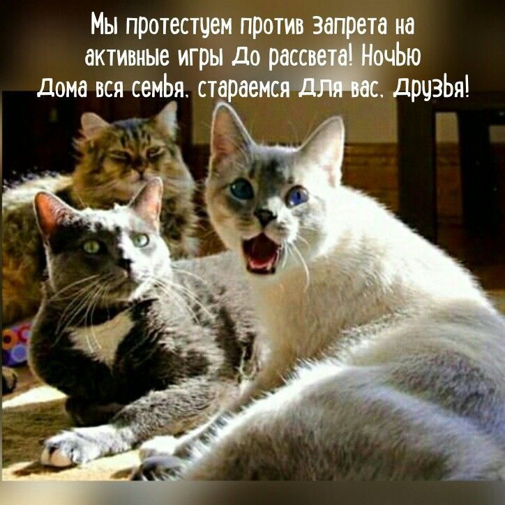 Мы протестам пром ищете ин активе игры до р Ью дона вся семЬж справи дрчзЬя