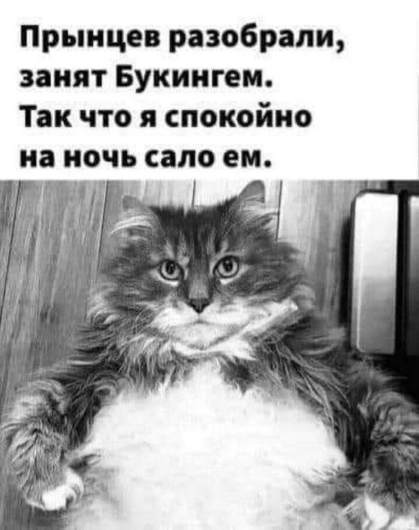 Прынцео разобрали занят Букингем Так что я спокойно на ночь сало ем