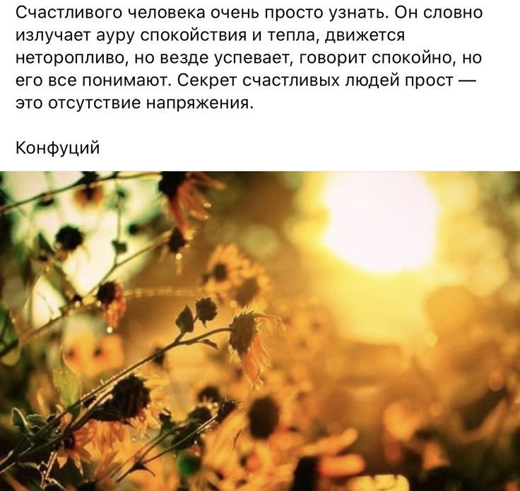 Счастливого человека очень просто узнать Он словно излучает ауру споквйстния и тепла движется неторопливо не везде успевает ГОВОРИТ спокойно на его все понимают Секрет счастивых людей прпст это отсутствие напряжении Конфуций