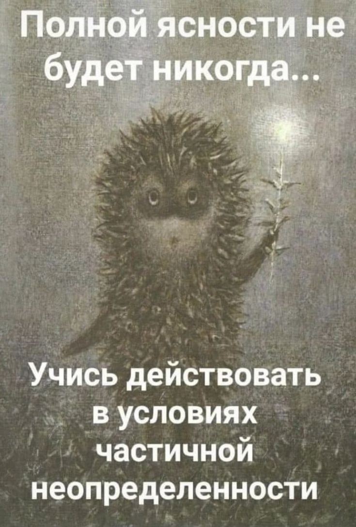 Учись действовать в условиях частичной неопределенности