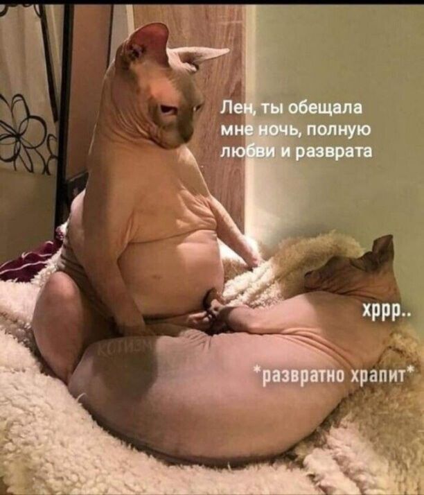 п храпит