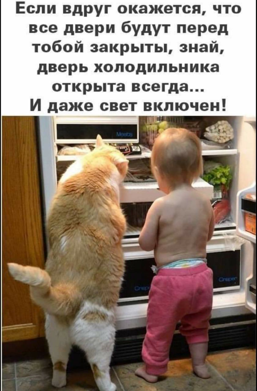 Если вдруг окажется что все двери будут перед тобой закрыты знай дверь холодильника открыта всегда
