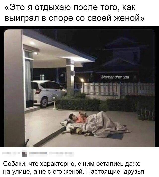 Это я отдыхаю после того как выиграл в споре со своей женой Собаки что характерно с ним остались даже на улице а не с его женой Настоящие друзья