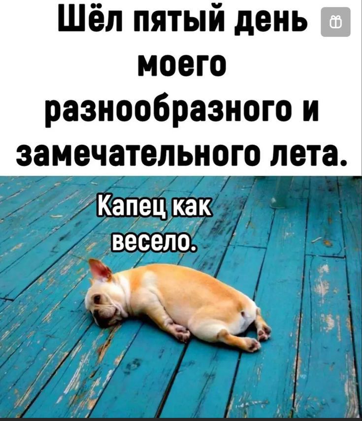 Шёл пятый день моего разнообразного и замечательного лета 21ЩШЕЩ а весело
