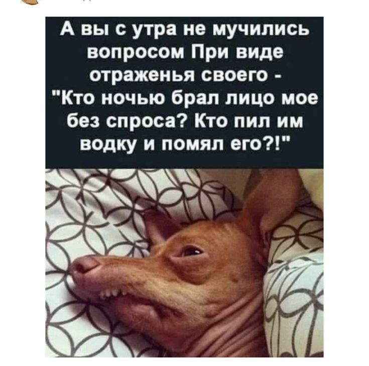 А вы с утра не мучились вопросом При виде отраженья своего Кто ночью брал лицо мое без спроса Кто пил им водку и помял его з_