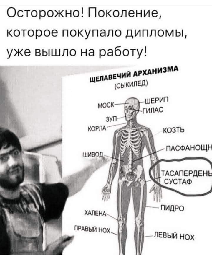 Осторожно Поколение которое покупало дипломы уже вышло на работу ТАСАПЕРДЕНЬ СУСТАФ