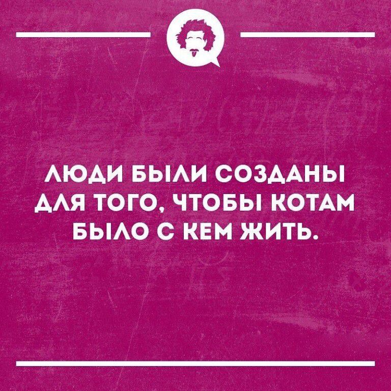 _Ф АЮАИ БЫАИ СОЗААНЫ ААЯ ТОГО ЧТОБЫ КОТАМ БЫАО С КЕМ ЖИТЬ