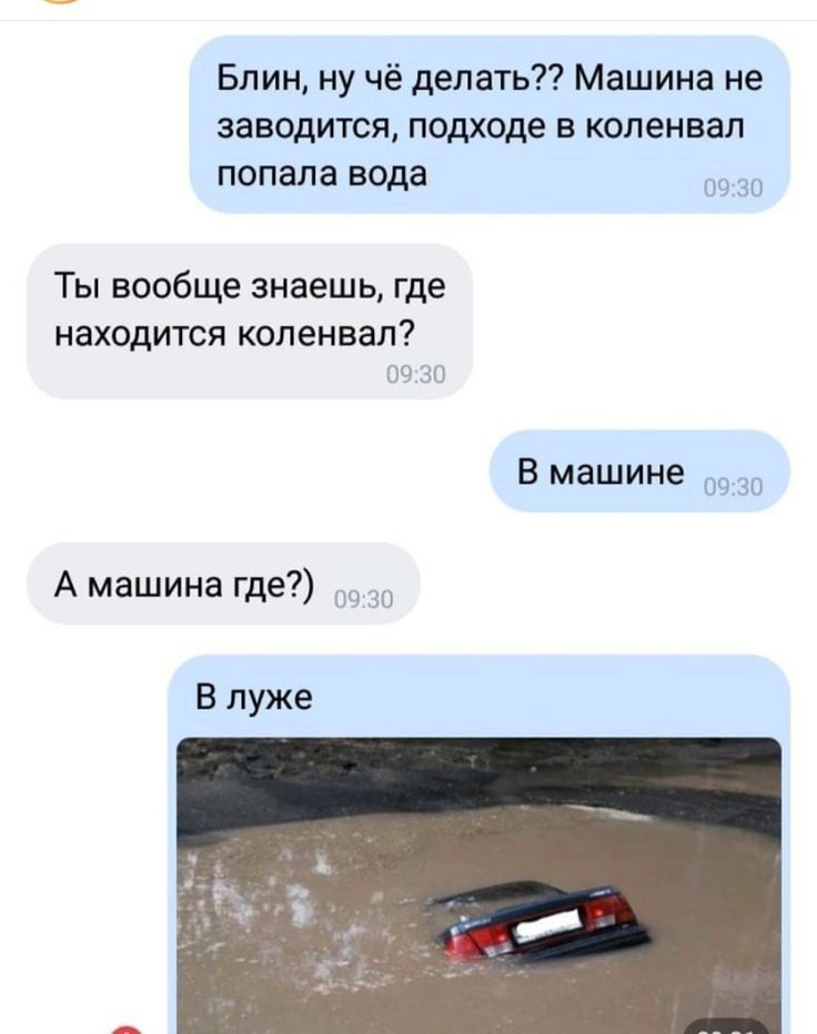 Блин ну чё делать Машина не заводится подходе в коленвал попала вода 3 Ты вообще знаешь где находится коленвал В машине В А машина где В луже