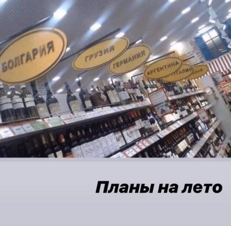 Планы на лето