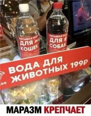 МАРАЗМ КРЕПЧАЕТ