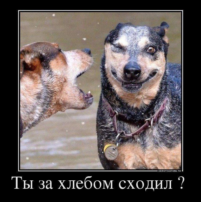 Ты за хлебом сходил