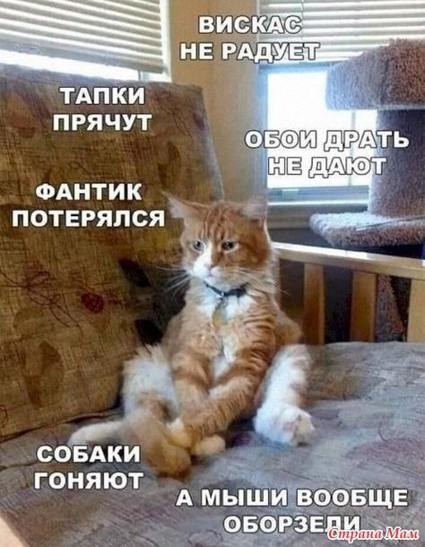 ПРЯЧУТ ФАНТИК ПОТЕРЯПСЯ