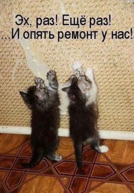 Эх раз Ещё раз И опять ремонт у нас