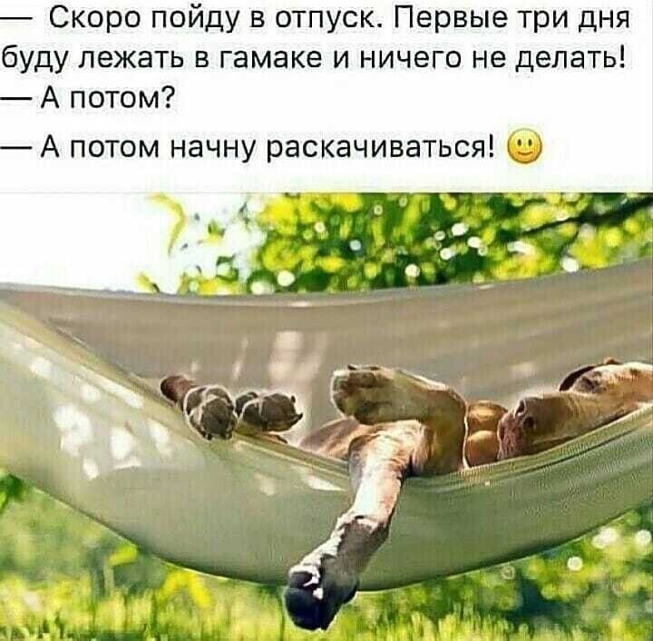 Скоро пойду в отпуск Первые три дня буду лежать в гамаке и ничего не делать А потом А потом начну раскачиваться б