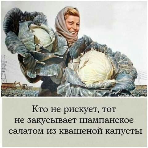 Кто не рискует тот не закусывает шампанское салатом из квашеной капусты