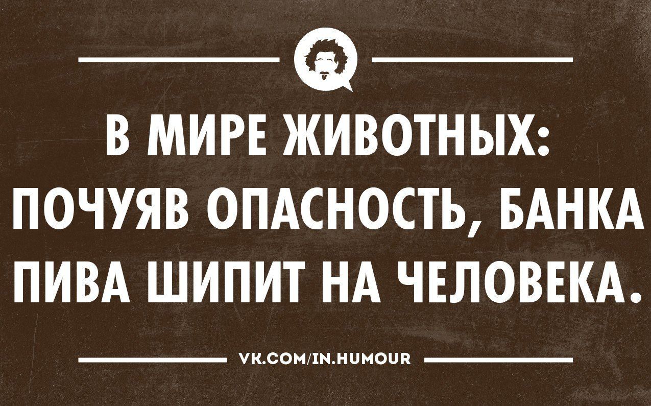 Почуявший опасность. Пиво шипит на человека. Почуяв опасность пиво шипит на человека.