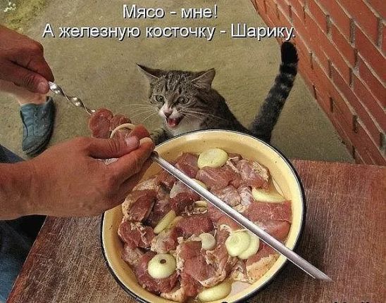 Миса Ш Щ Шарэис