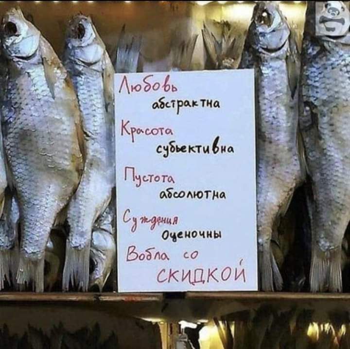 тб зари виним п мішмопш туши оч кочиы