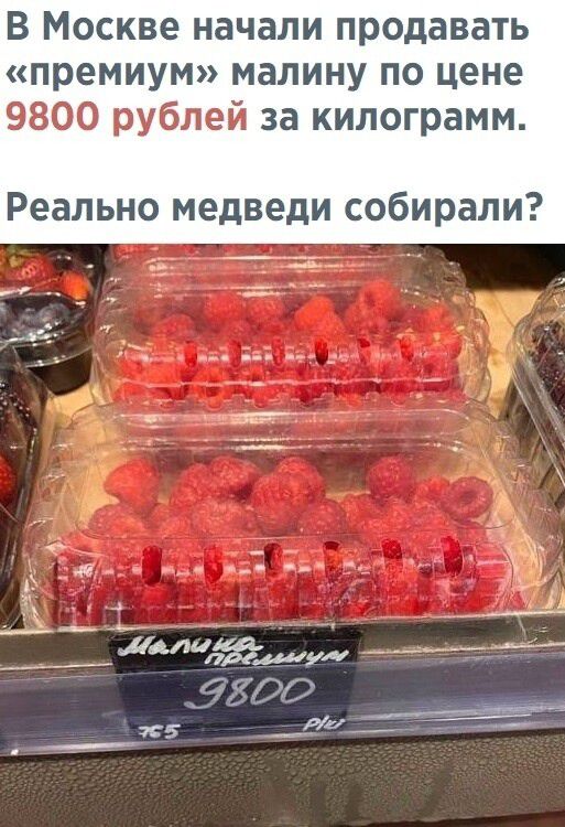 МЁшу В Москве начали продавать премиум малину по цене 9800 рублей за килограмм Реально медведи собирали