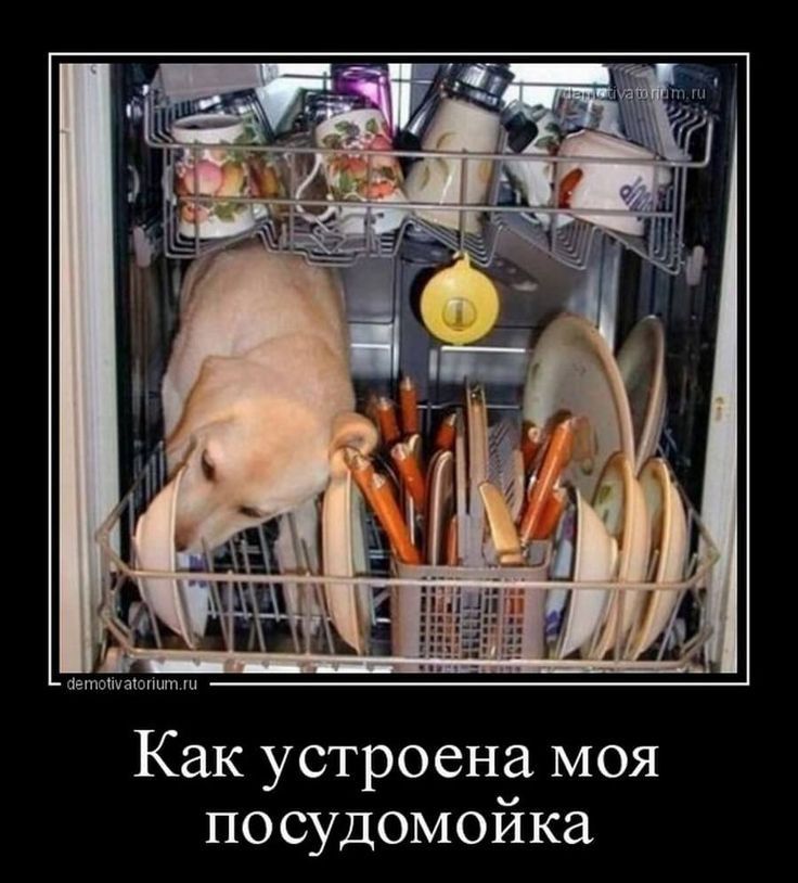 Как устроена моя посудомойка