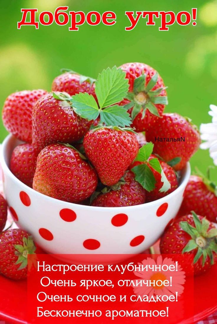 доброе утро Настроение кАубничноеі Очень яркое отличное Очень сочное и скажи Бесконечно ароматное
