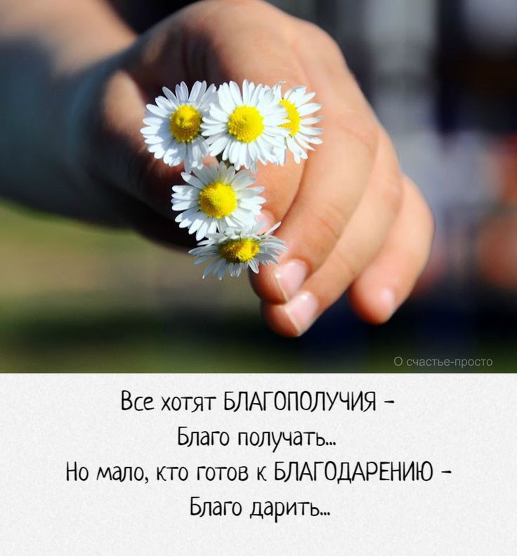 Все хотят БЛАГОПОЛУЧИЯ Благо ПОЛУЧЗТЬ Но мдпо кто готов к БЛАГОДАРЕНИЮ Благо дарить