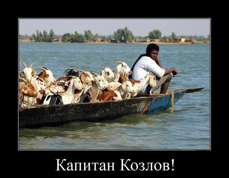 Капитан Козлов 1 3 1 1