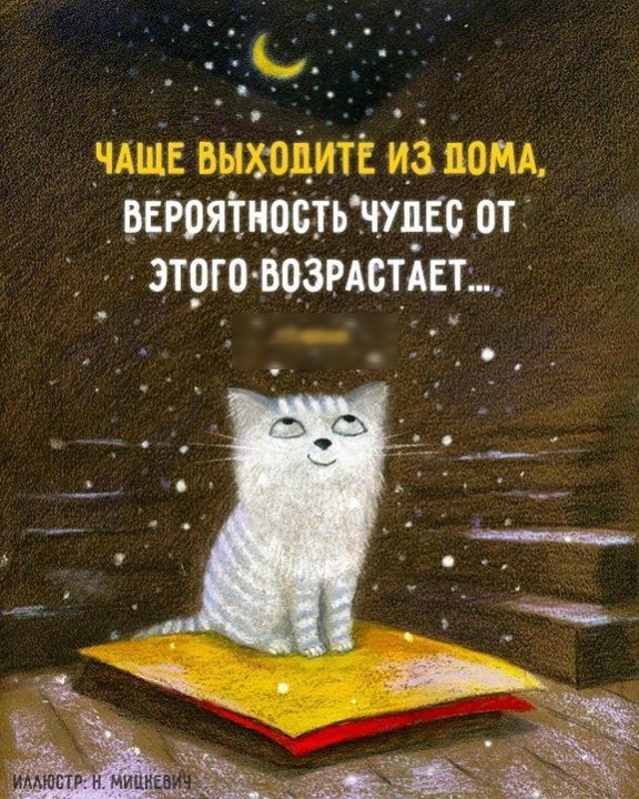 _чдще выйдите иЗ пом вЕРоятиостьшьс от зтрго тамады тшм д