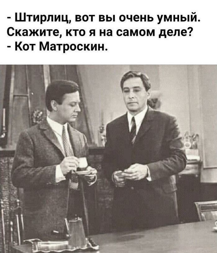 Штирлиц вот вы очень умный Скажите кто я на самом деле Кот Матроскин