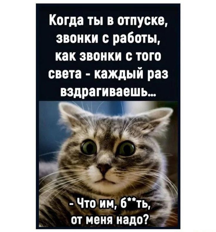 Когда ты в отпуске звонки с работы как звонки с того света каждый раз вздрагиваешь юмз оі д я Что им бть от меня надо