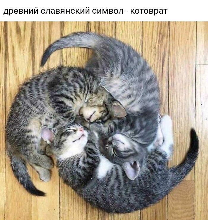 древний славянский символ котоврат