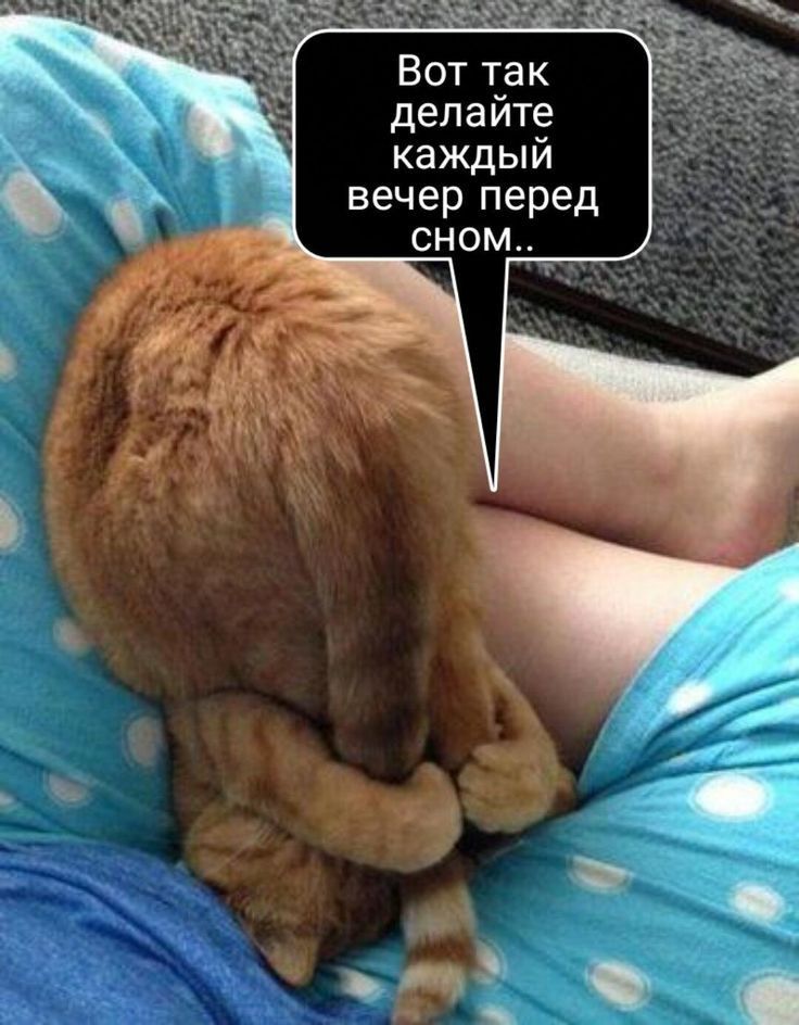 делайте каждый вечер перед сном