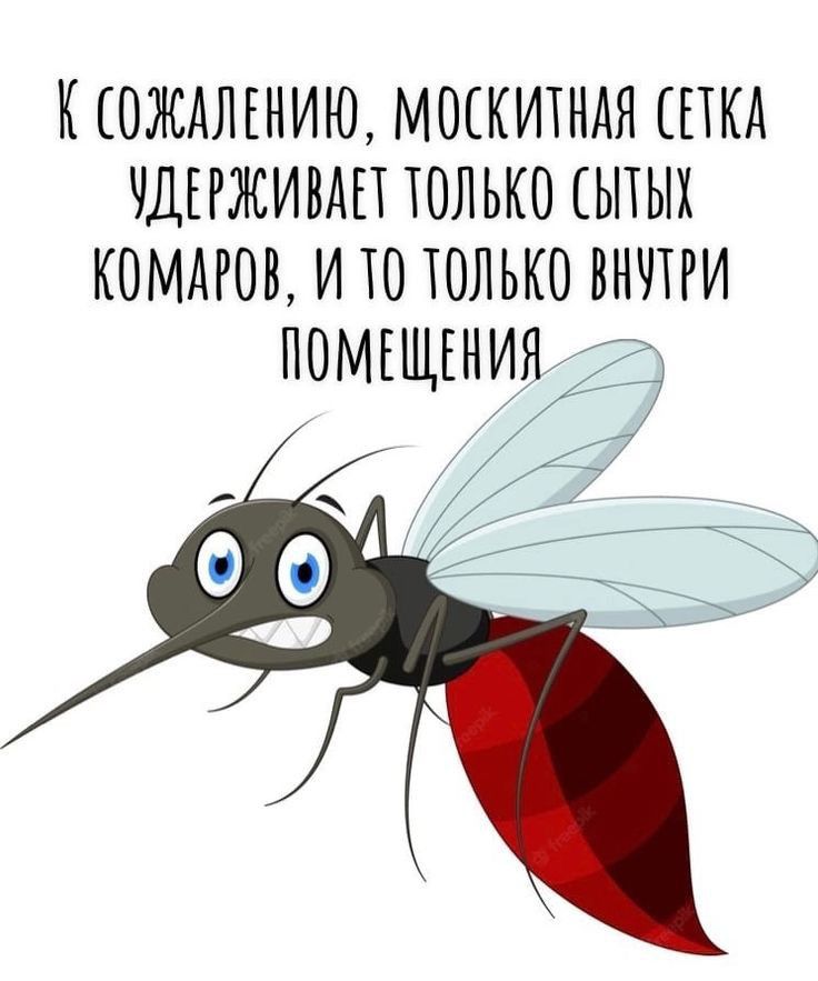 КЮЖАЛЕНИЮ МОЕКИТНАЯ ПКД ЧДЕРЖИВАП ТОЛЬКО ЬПЫХ КОМАРОВ И Ю ТОЛЬКО ВНЧПИ ПОМЕЩЕНИЯ д