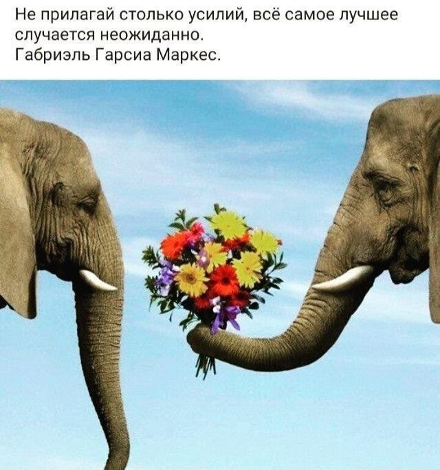 Не прилагай столько усилий все самое лучшее СЛУЧаЕТСЯ неожиданно Габриэль Гарсиа Маркес