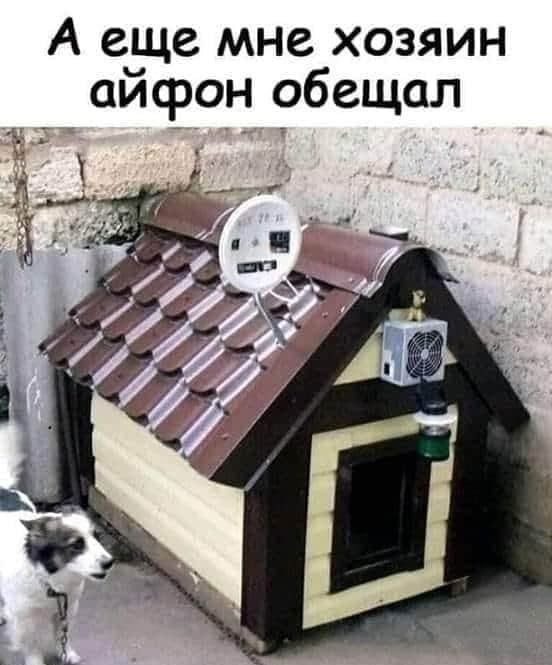 А еще мне хозяин сифон обещал